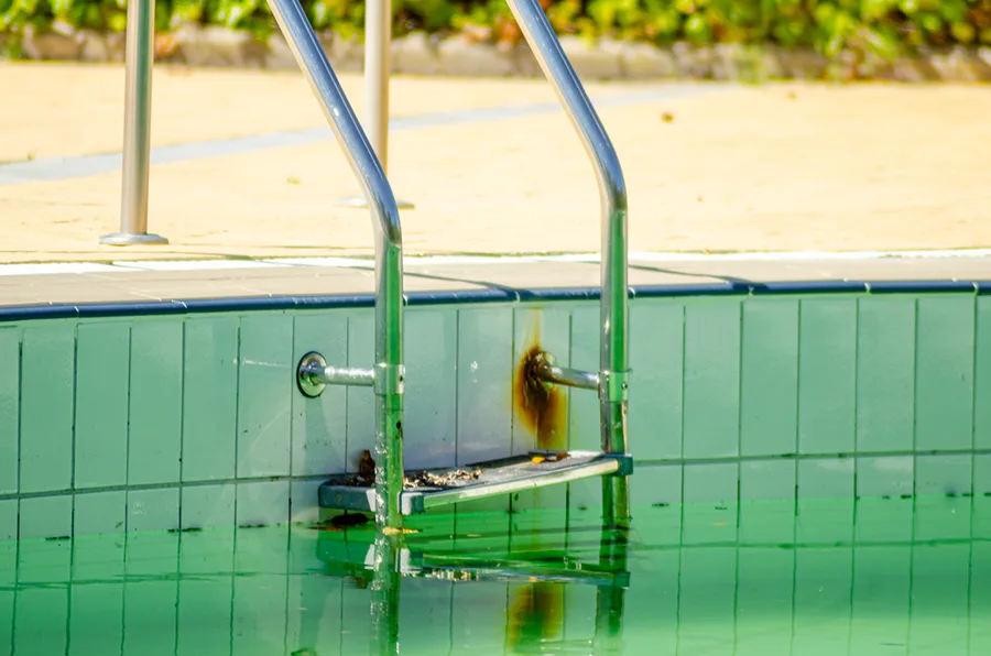 Reliable Pool Contractor